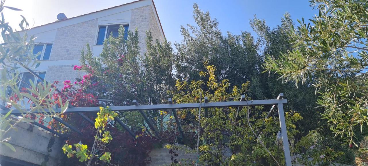 Villa Πέτρα, Ελιά Και Λεβάντα Tolón Exterior foto
