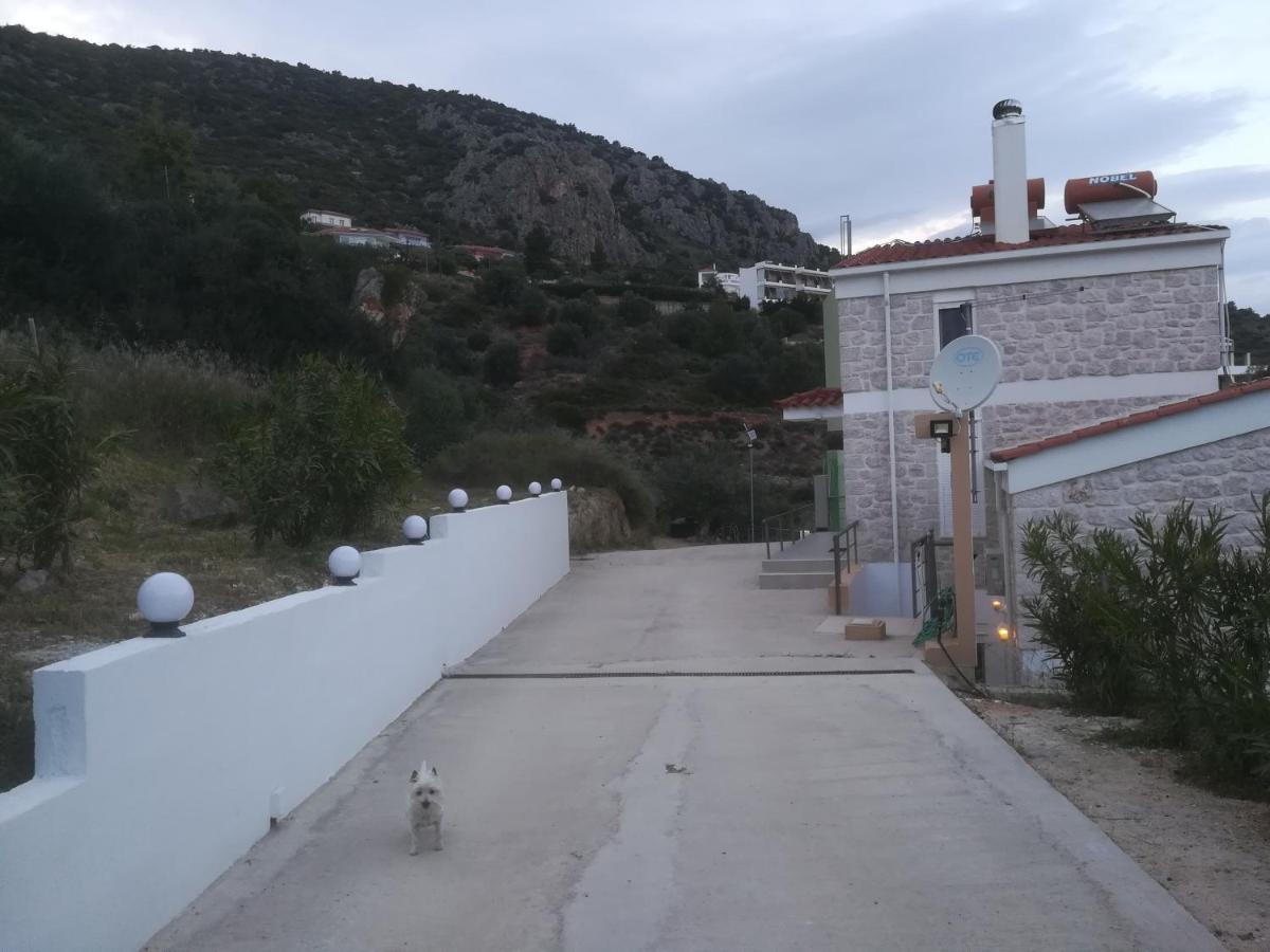 Villa Πέτρα, Ελιά Και Λεβάντα Tolón Exterior foto