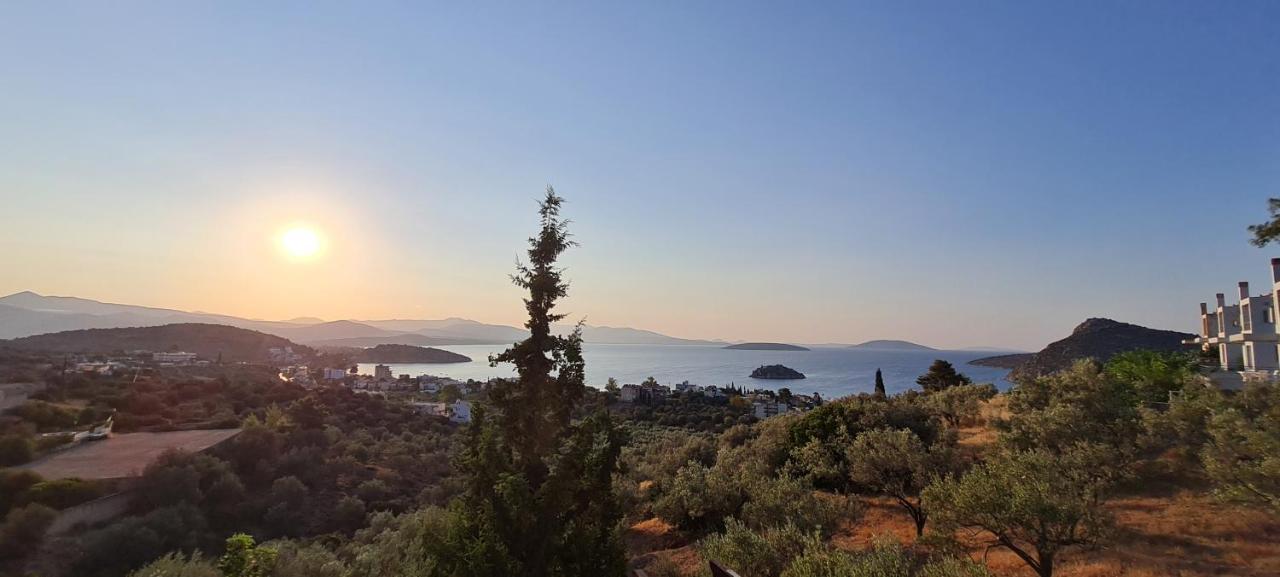 Villa Πέτρα, Ελιά Και Λεβάντα Tolón Exterior foto