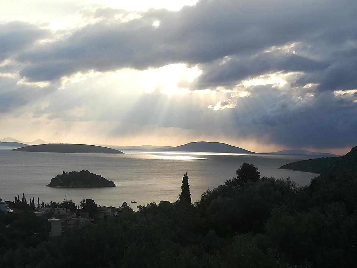 Villa Πέτρα, Ελιά Και Λεβάντα Tolón Exterior foto