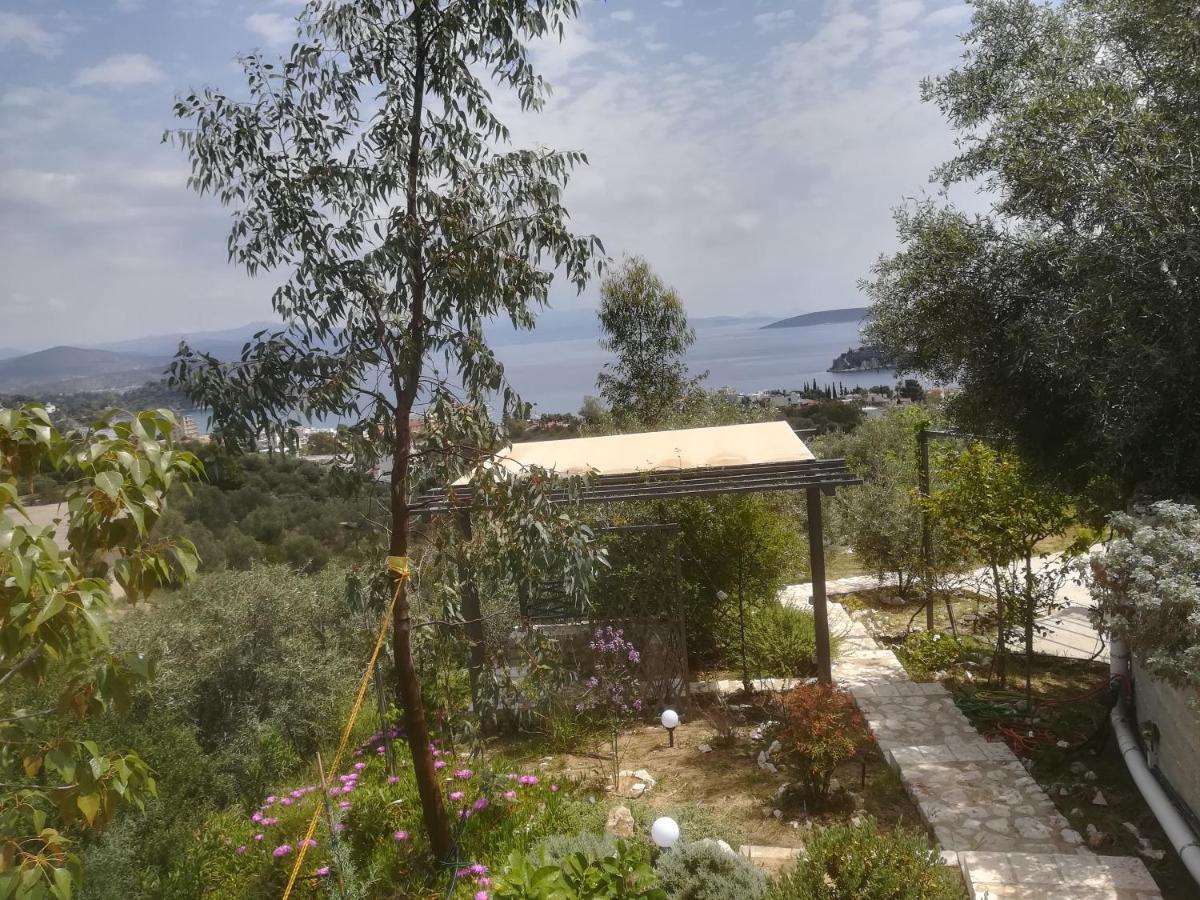 Villa Πέτρα, Ελιά Και Λεβάντα Tolón Exterior foto