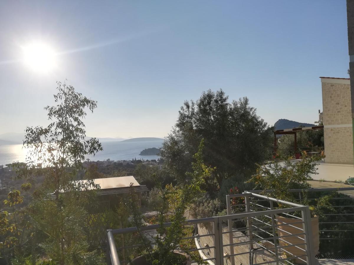 Villa Πέτρα, Ελιά Και Λεβάντα Tolón Exterior foto