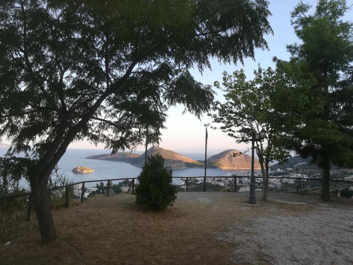 Villa Πέτρα, Ελιά Και Λεβάντα Tolón Exterior foto