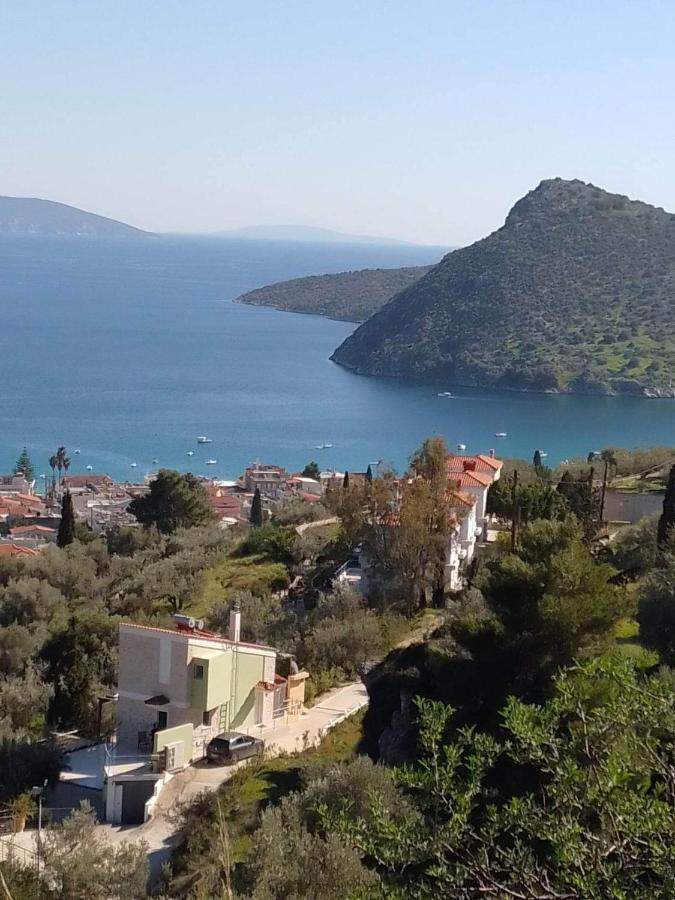 Villa Πέτρα, Ελιά Και Λεβάντα Tolón Exterior foto