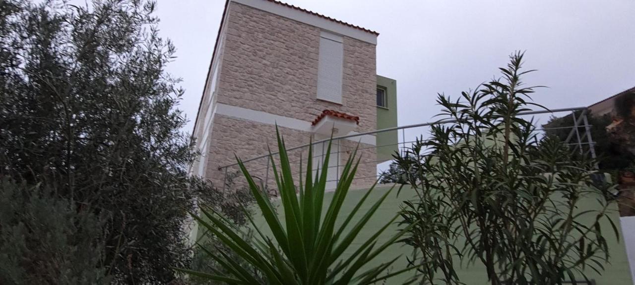 Villa Πέτρα, Ελιά Και Λεβάντα Tolón Exterior foto