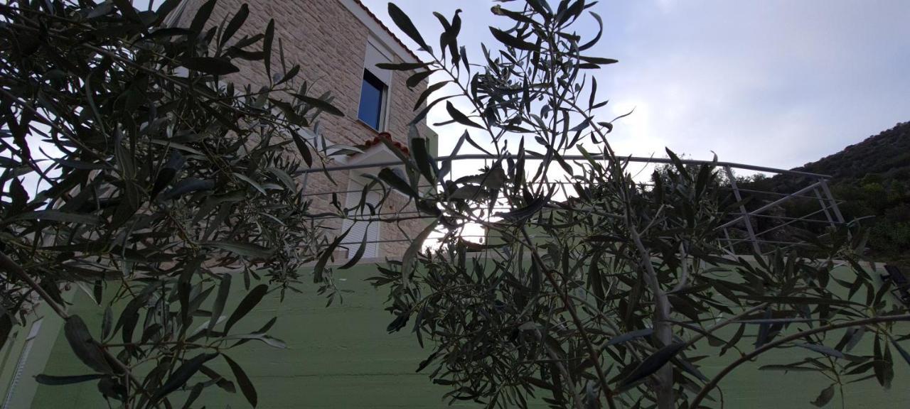 Villa Πέτρα, Ελιά Και Λεβάντα Tolón Exterior foto