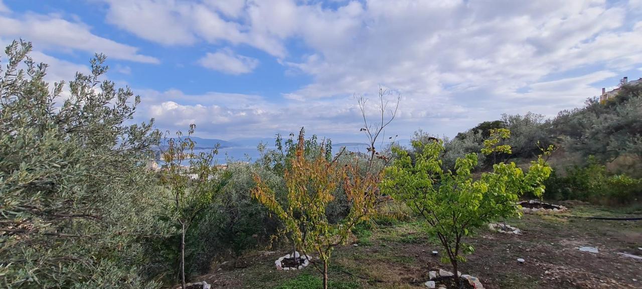 Villa Πέτρα, Ελιά Και Λεβάντα Tolón Exterior foto